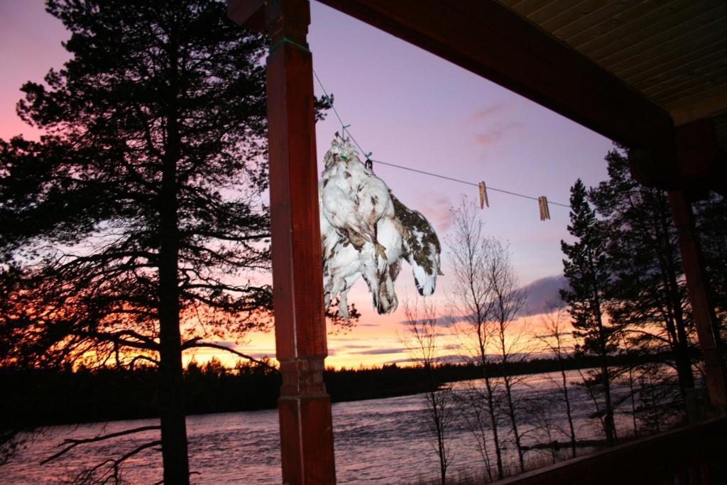 Luongasloma Chalets Palojoensuu 객실 사진
